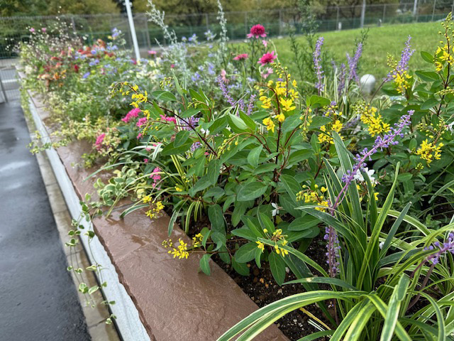 株式会社トーカイ様の花壇緑化工事を致しました。